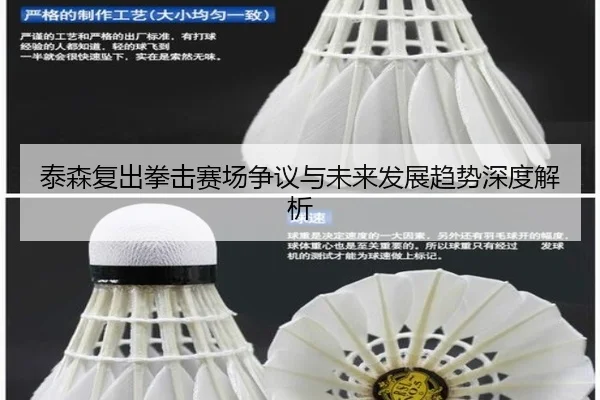 tai-sen-fu-chu-quan-ji-sai-chang-zheng-yi-yu-wei-lai-fa-zhan-qu-shi-shen-du-jie-xi-2-169.jpg